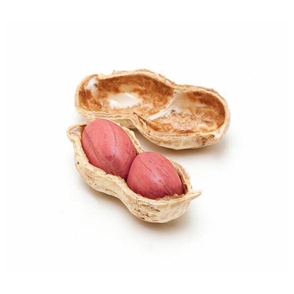 Peanut