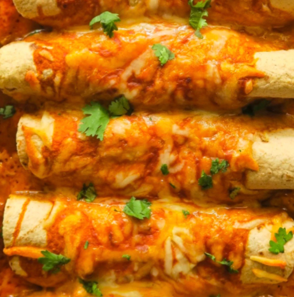 TURKEY ENCHILADAS WITH RED CHILE SAUCE